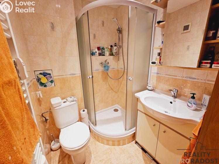 Pronájem bytu 1+1 Dubňany, Hornická č. 6