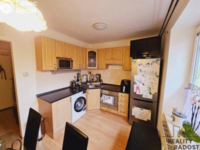 Pronájem bytu 1+1 Dubňany, Hornická č. 1