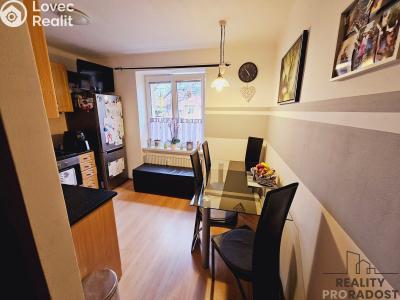 Pronájem bytu 1+1 Dubňany, Hornická č. 4