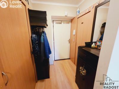 Pronájem bytu 1+1 Dubňany, Hornická č. 5