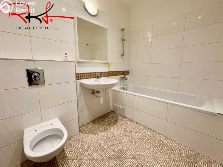 Аренда квартиры 2+1 Praha, Heleny Malířové č. 4