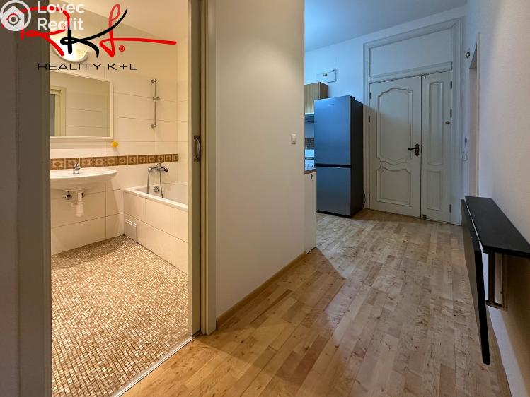 Аренда квартиры 2+1 Praha, Heleny Malířové č. 7