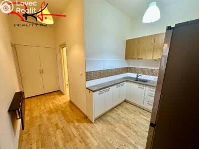 Аренда квартиры 2+1 Praha, Heleny Malířové č. 6