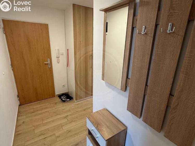 Pronájem bytu 2+1 Týn nad Vltavou, Orlická 304 č. 11