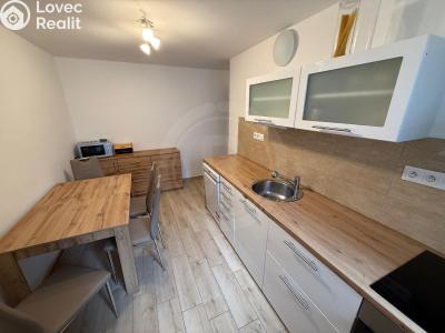 Pronájem bytu 2+1 Týn nad Vltavou, Orlická 304 č. 3