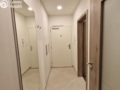 Pronájem bytu 1+KK Praha, Novgorodská č. 5