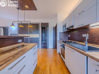 Pronájem bytu 3+KK Hnojník č. 4