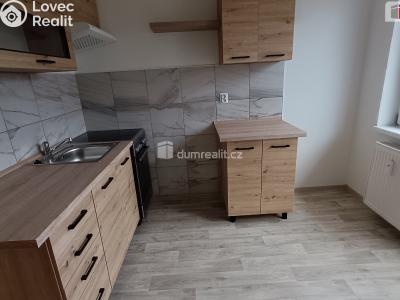 Pronájem bytu 2+1 Luštěnice č. 2