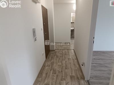Pronájem bytu 2+1 Luštěnice č. 6