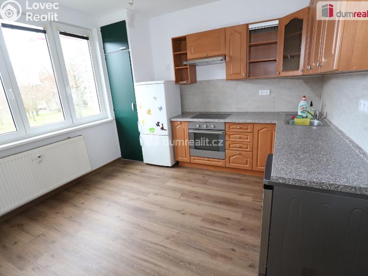 Pronájem bytu 1+1 Cheb, Americká č. 1