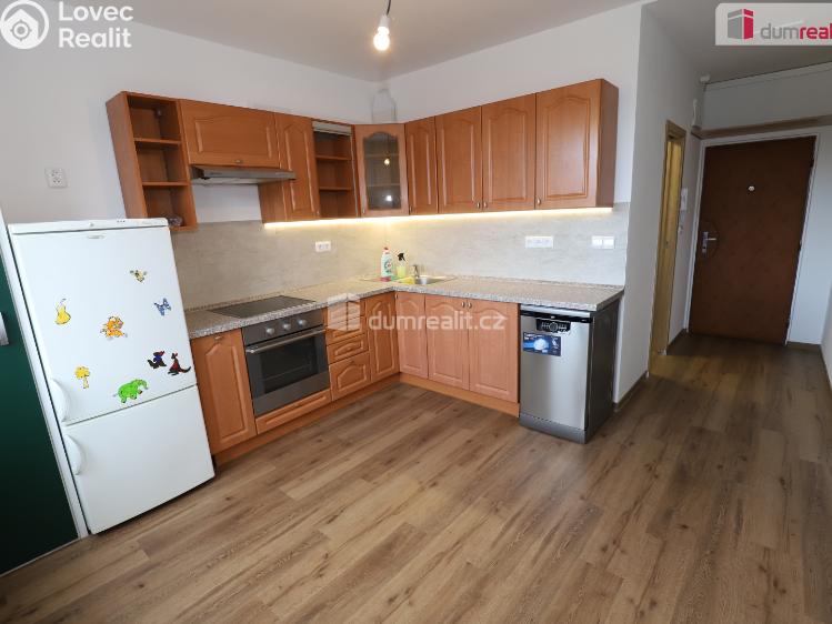 Pronájem bytu 1+1 Cheb, Americká č. 2