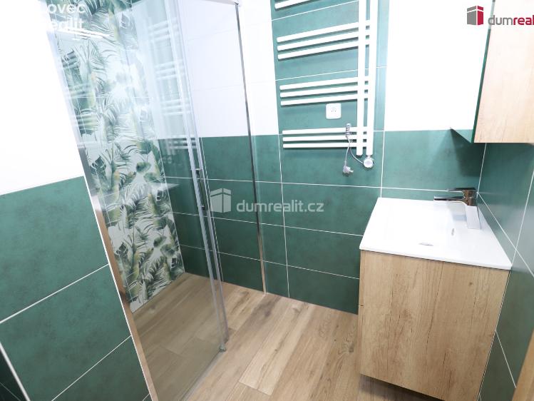 Pronájem bytu 1+1 Cheb, Americká č. 7