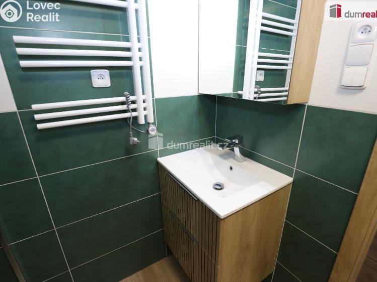 Pronájem bytu 1+1 Cheb, Americká č. 8