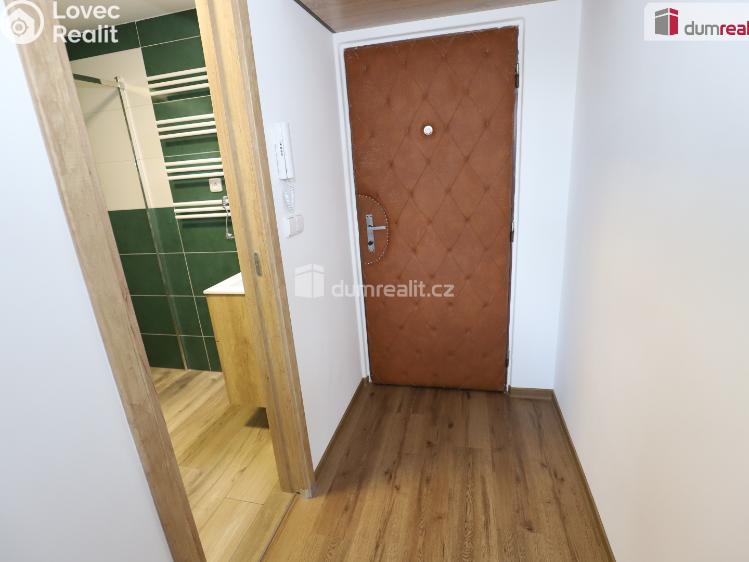 Pronájem bytu 1+1 Cheb, Americká č. 10