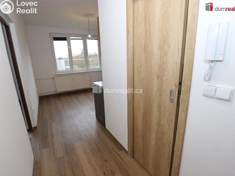 Pronájem bytu 1+1 Cheb, Americká č. 11