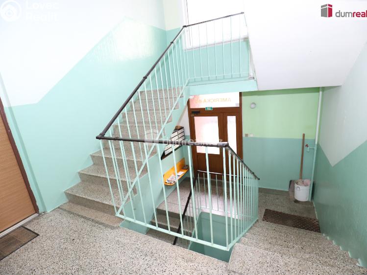 Pronájem bytu 1+1 Cheb, Americká č. 12