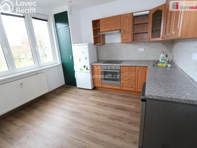 Pronájem bytu 1+1 Cheb, Americká č. 1