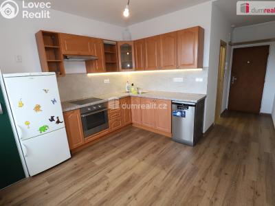 Pronájem bytu 1+1 Cheb, Americká č. 2