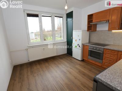 Pronájem bytu 1+1 Cheb, Americká č. 3