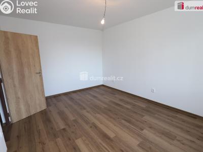 Pronájem bytu 1+1 Cheb, Americká č. 4