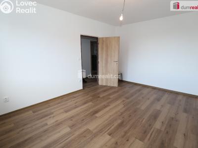 Pronájem bytu 1+1 Cheb, Americká č. 5