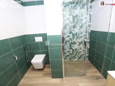 Pronájem bytu 1+1 Cheb, Americká č. 6