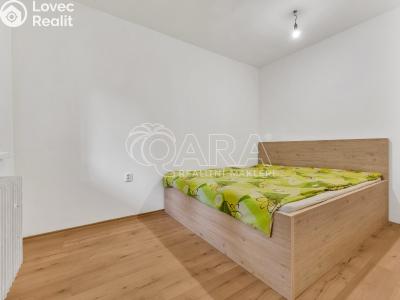 Аренда квартиры 2+1 Příbram, Milínská 141 č. 2