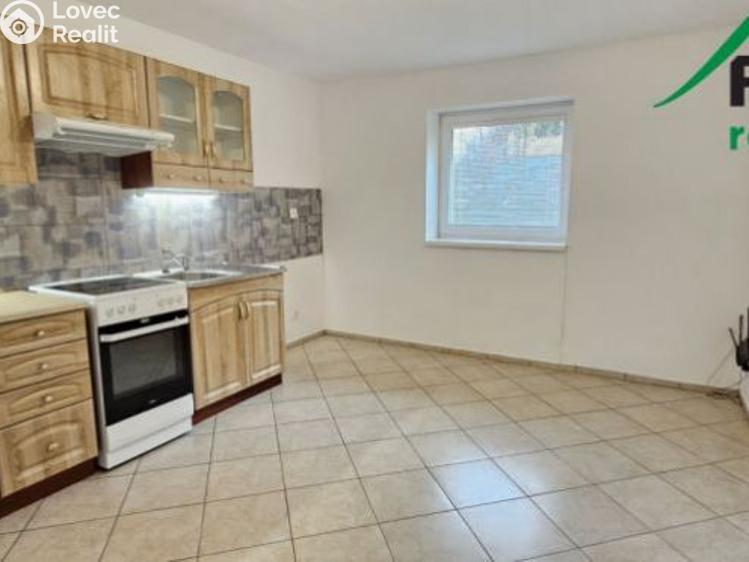 Pronájem bytu 3+1 Studánka č. 1