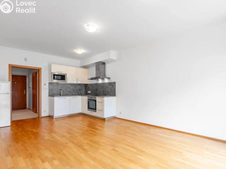 Rent apartment 1+KK Praha, Patočkova č. 1