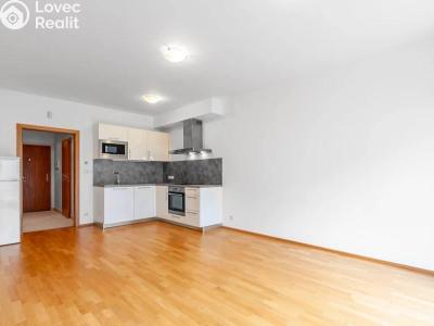 Аренда квартиры 1+KK Praha, Patočkova č. 1