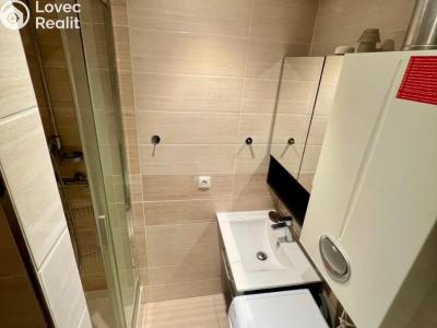 Аренда квартиры 2+1 Praha, Palmovka č. 3