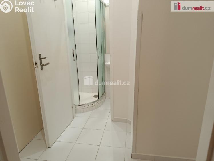 Rent apartment 1+KK Praha 10, V předpolí č. 12