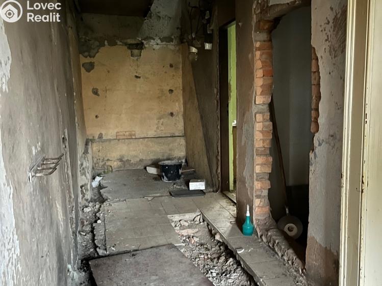 Продажа семейного дома Peruc č. 10