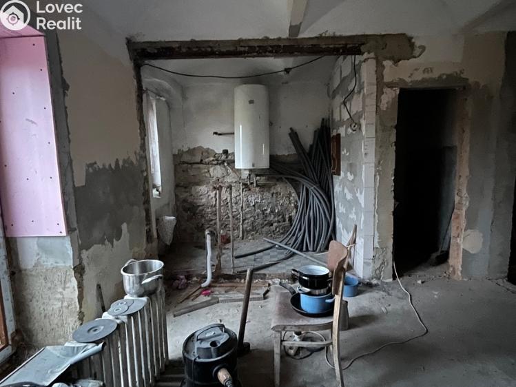 Продажа семейного дома Peruc č. 12