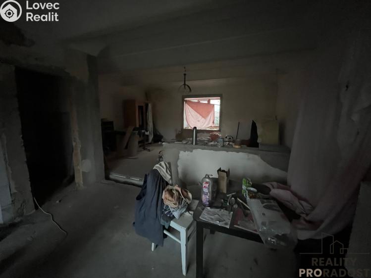 Продажа семейного дома Peruc č. 13