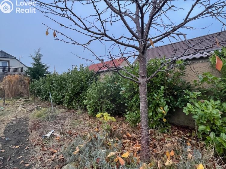 Продажа семейного дома Peruc č. 16