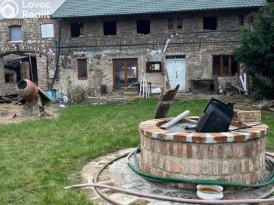 Продажа семейного дома Peruc č. 5