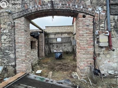 Продажа семейного дома Peruc č. 6