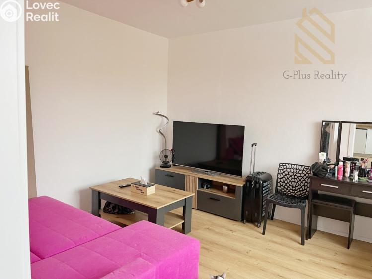 Sale apartment 1+1 Teplice, Julia Payera č. 3