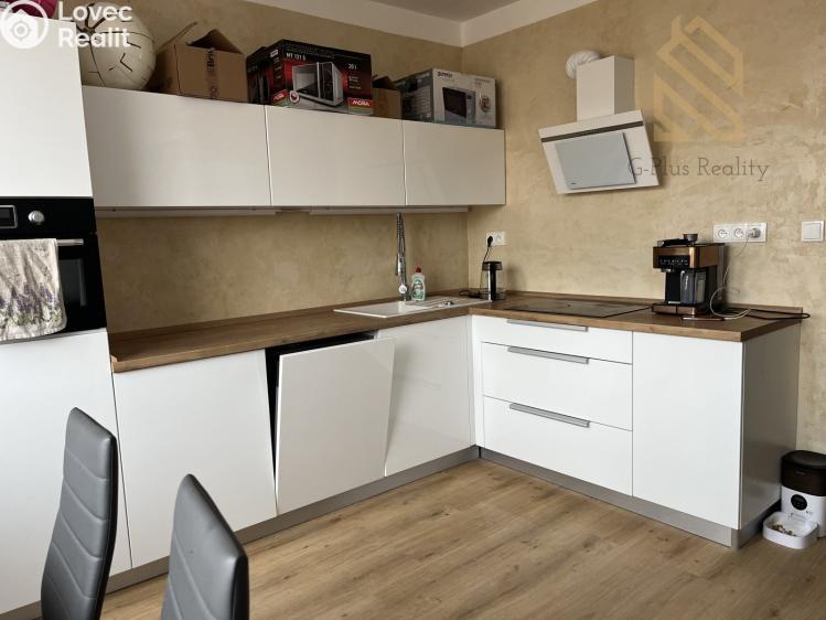 Sale apartment 1+1 Teplice, Julia Payera č. 8