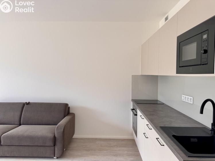 Pronájem bytu 1+KK Praha 3, Žižkov, Malešická 2934/10 č. 6