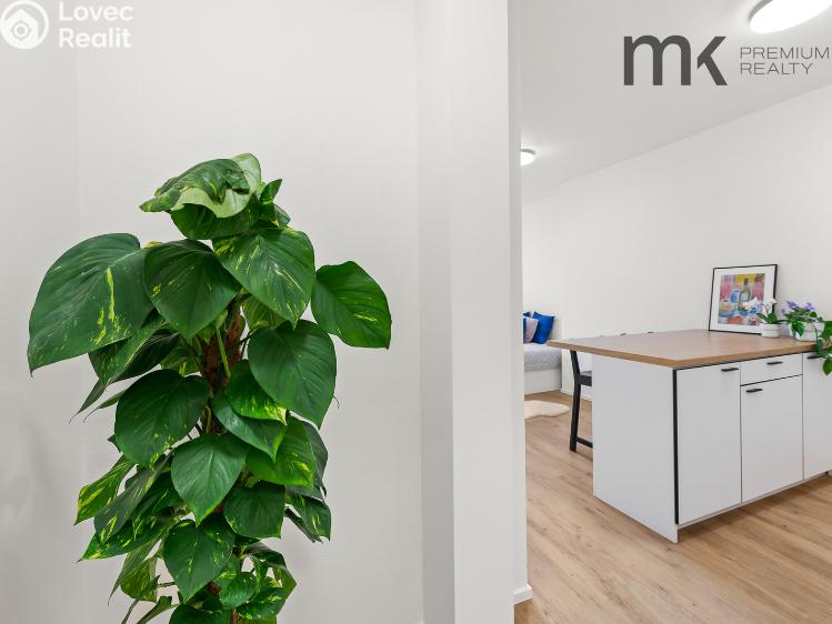 Аренда квартиры 1+KK Praha, Na bitevní pláni 1185/40 č. 12