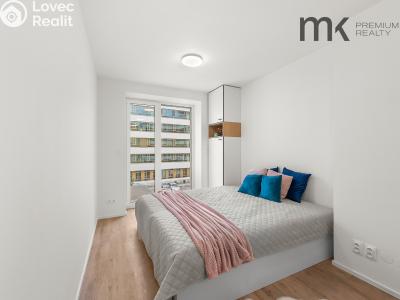 Rent apartment 1+KK Praha, Na bitevní pláni č. 4