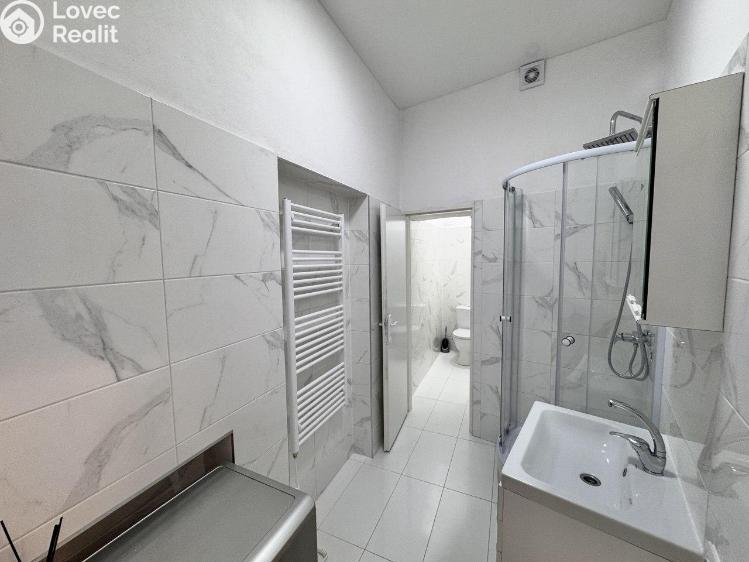 Аренда квартиры 2+1 Praha, Krakovská č. 12