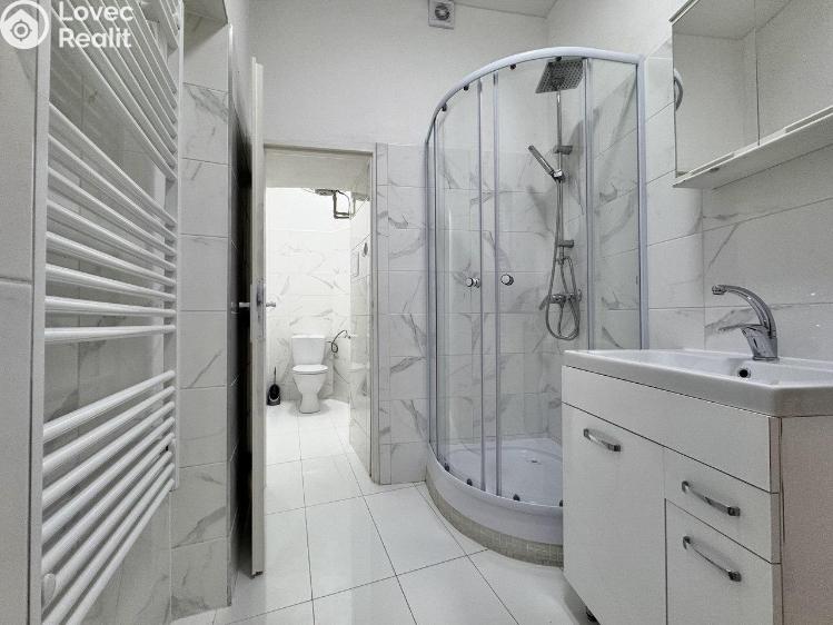 Аренда квартиры 2+1 Praha, Krakovská č. 13