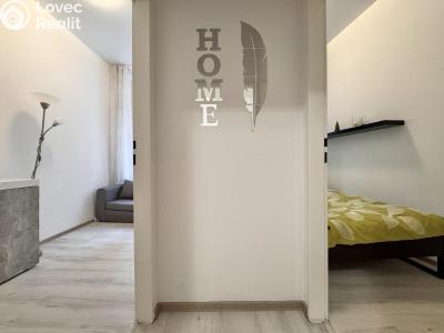 Аренда квартиры 2+1 Praha, Krakovská č. 3