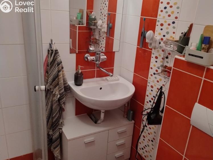 Rent apartment 1+KK Brno, Smetanova 759/22 č. 9