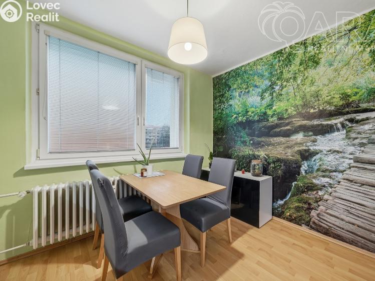 Prodej bytu 2+1 Vyškov, Dukelská 573/1 č. 5