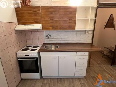 Pronájem bytu 1+1 Chomutov, Školní pěšina č. 1