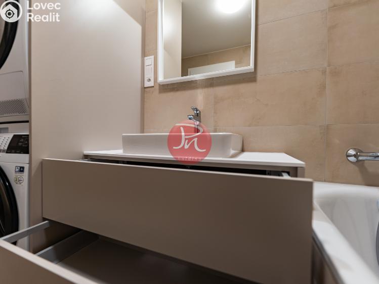 Pronájem bytu 4+KK Ostrava, F. X. Riepla č. 17